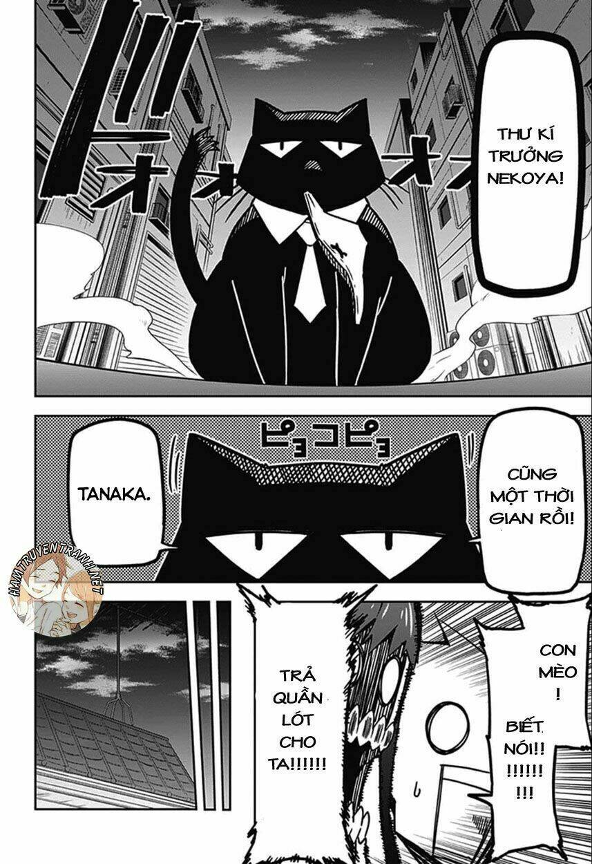 secretary to the managing president, general time industries, seiji tanaka chapter 6 13