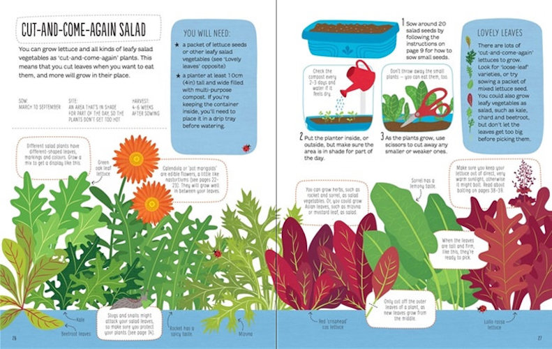 Sách tiếng Anh - Usborne Gardening for Beginners