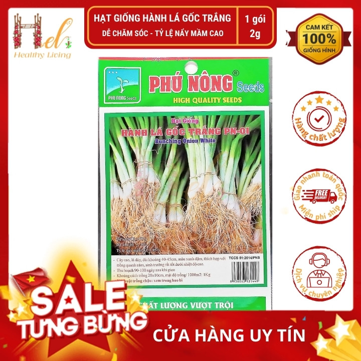 PN - Hạt Giống Hành Lá Gốc Trắng Cao Sản Dễ Trồng, Nhanh Thu Hoạch - Trồng Rau Xanh Rau Sạch Bằng Đất Sạch, Mùn Dừa...