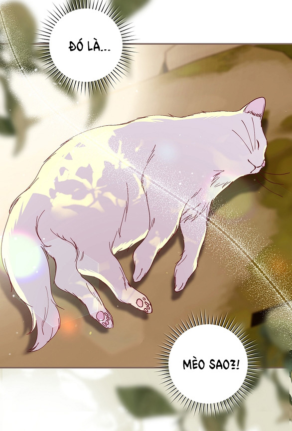 ngài công tước, tôi sẽ làm mọi thứ, trừ việc kết hôn! chapter 9.1 47