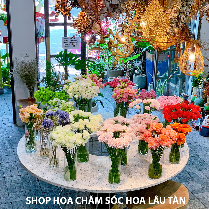 Thuốc cắm hoa lâu tàn Longlife SG nhập khẩu Israel giúp hoa cắm xốp tại Shop Hoa Florist tươi gấp 2 lần và hạn chế thay hoa định kỳ