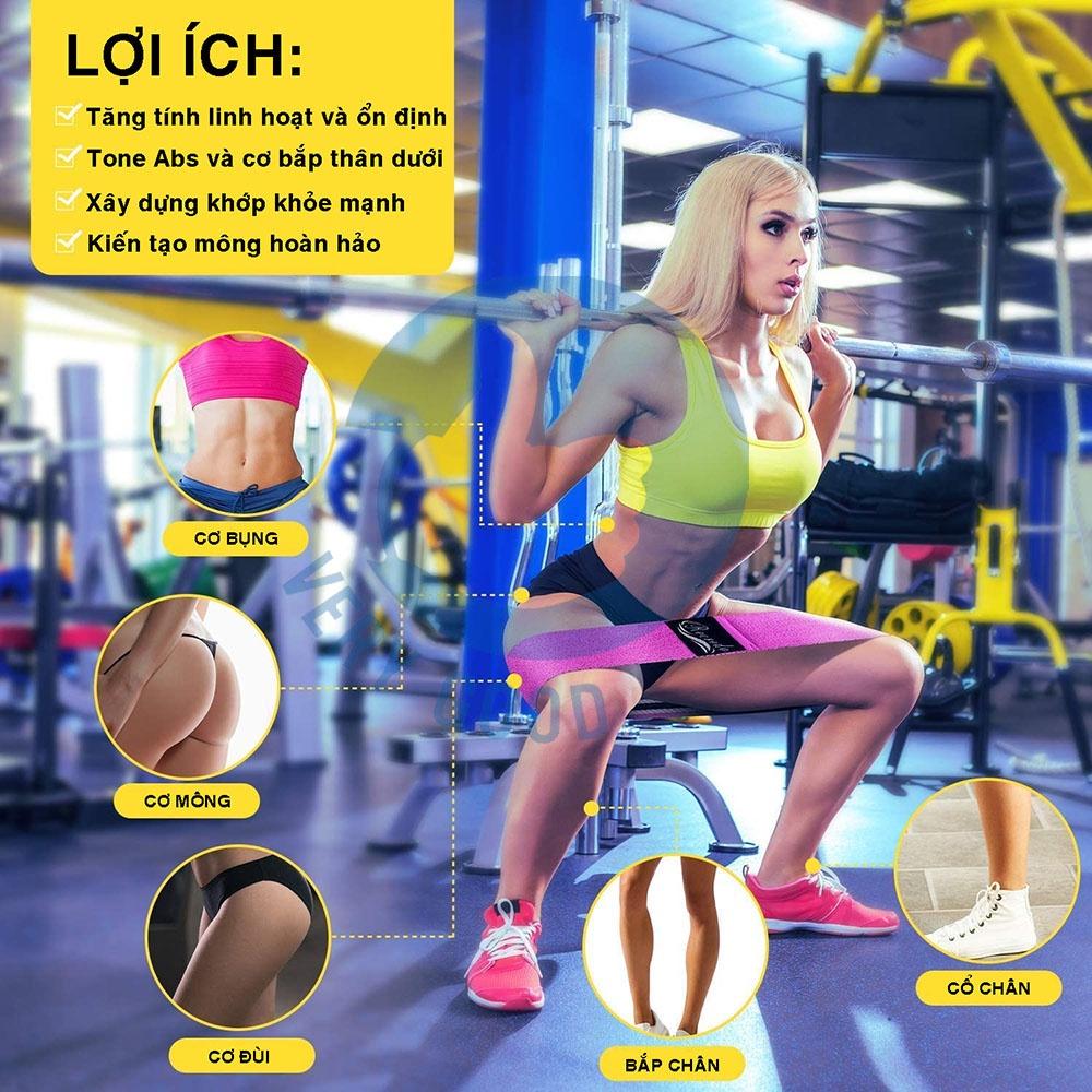 Dây kháng lực tập gym, dây kháng lực tập mông tay chân đùi dây vải Power mini Band đàn hồi phụ kiện tập gym SP002