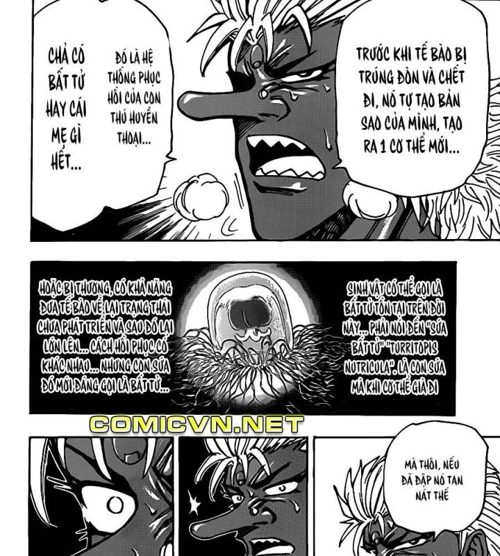 thánh tỏi sành ăn chapter 228 26