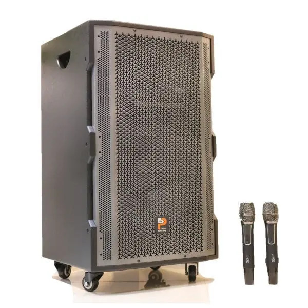 Loa kéo Prosing W15 Super 10 - Loa di động thùng gỗ công suất cực đại 800W kèm micro không dây hát karaoke âm thanh chất lượng cao - Hàng nhập khẩu
