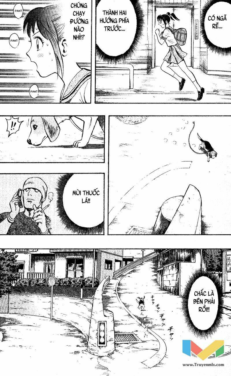 animal sense chapter 1 42