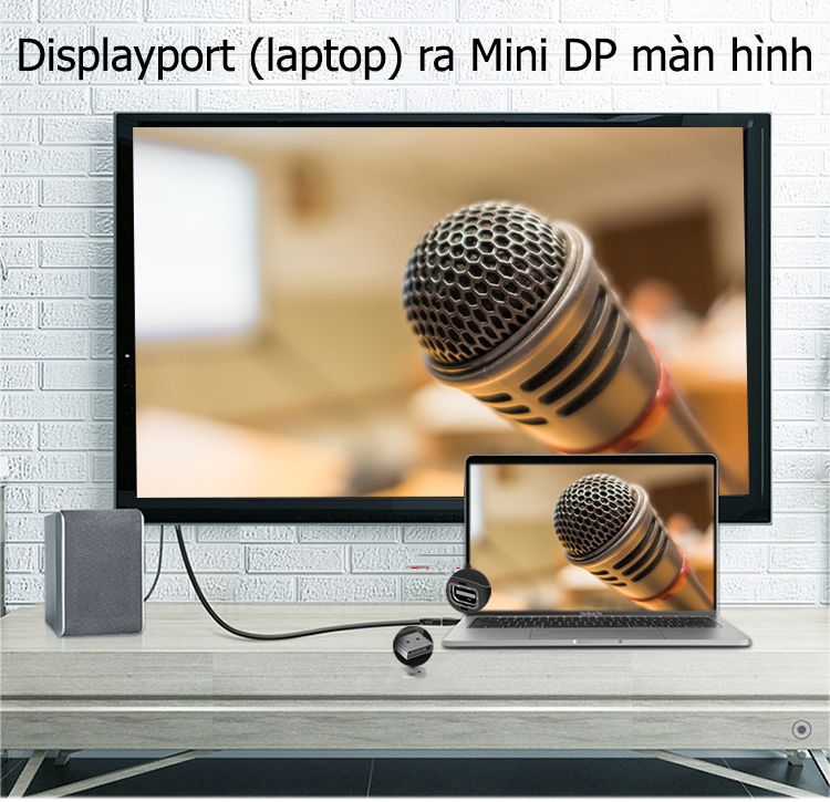 Đầu chuyển Displayport (Đực) ra Mini Displayport (âm) JH-S123