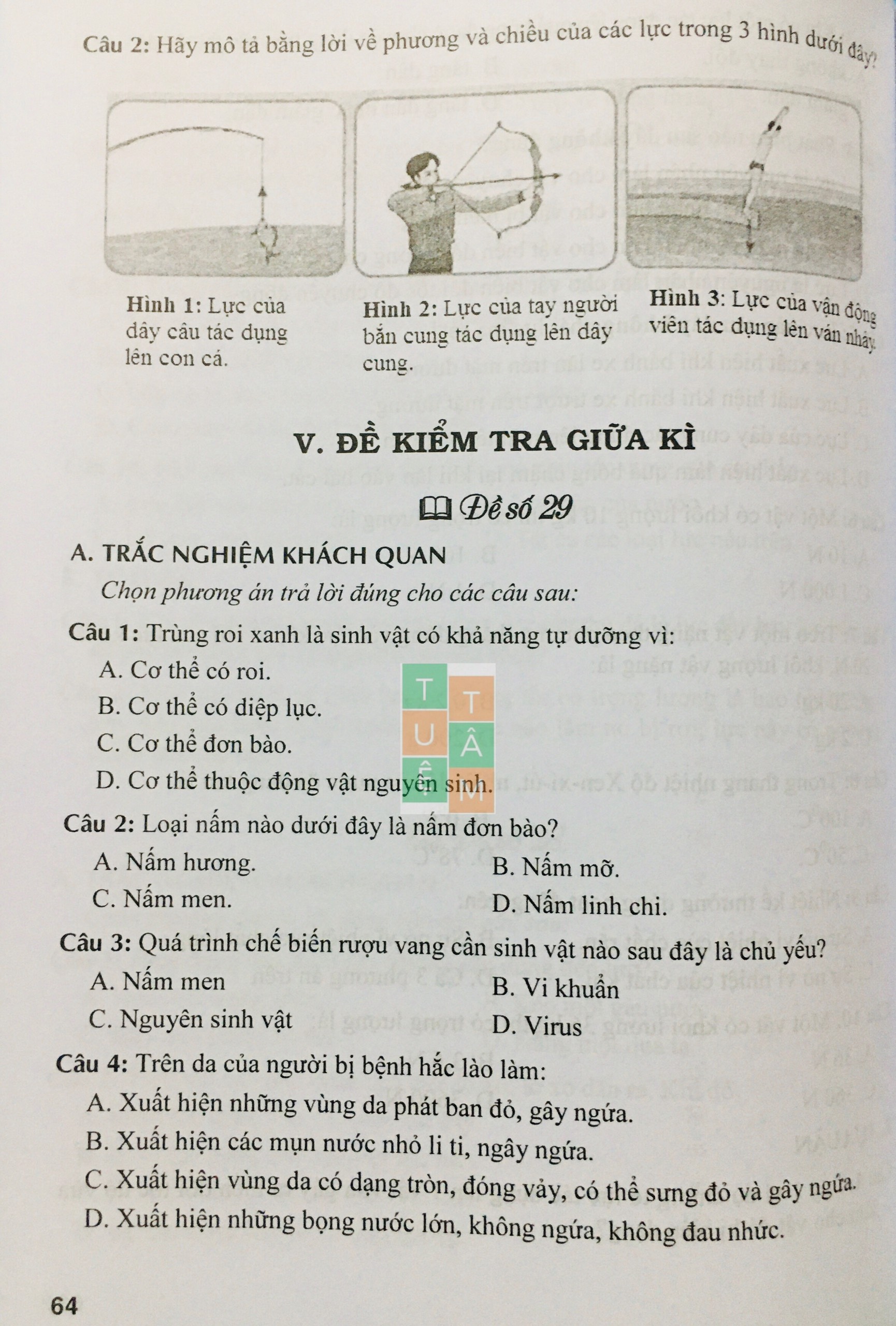 Sách - Đề kiểm tra Khoa học tự nhiên 6 (Kết nối tri thức với cuộc sống)