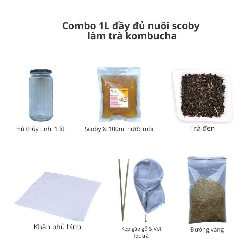 Combo Trà Kombucha 1L đầy đủ nguyên liệu nuôi Scoby làm trà Kombucha (dùng để làm 0,5 lít)