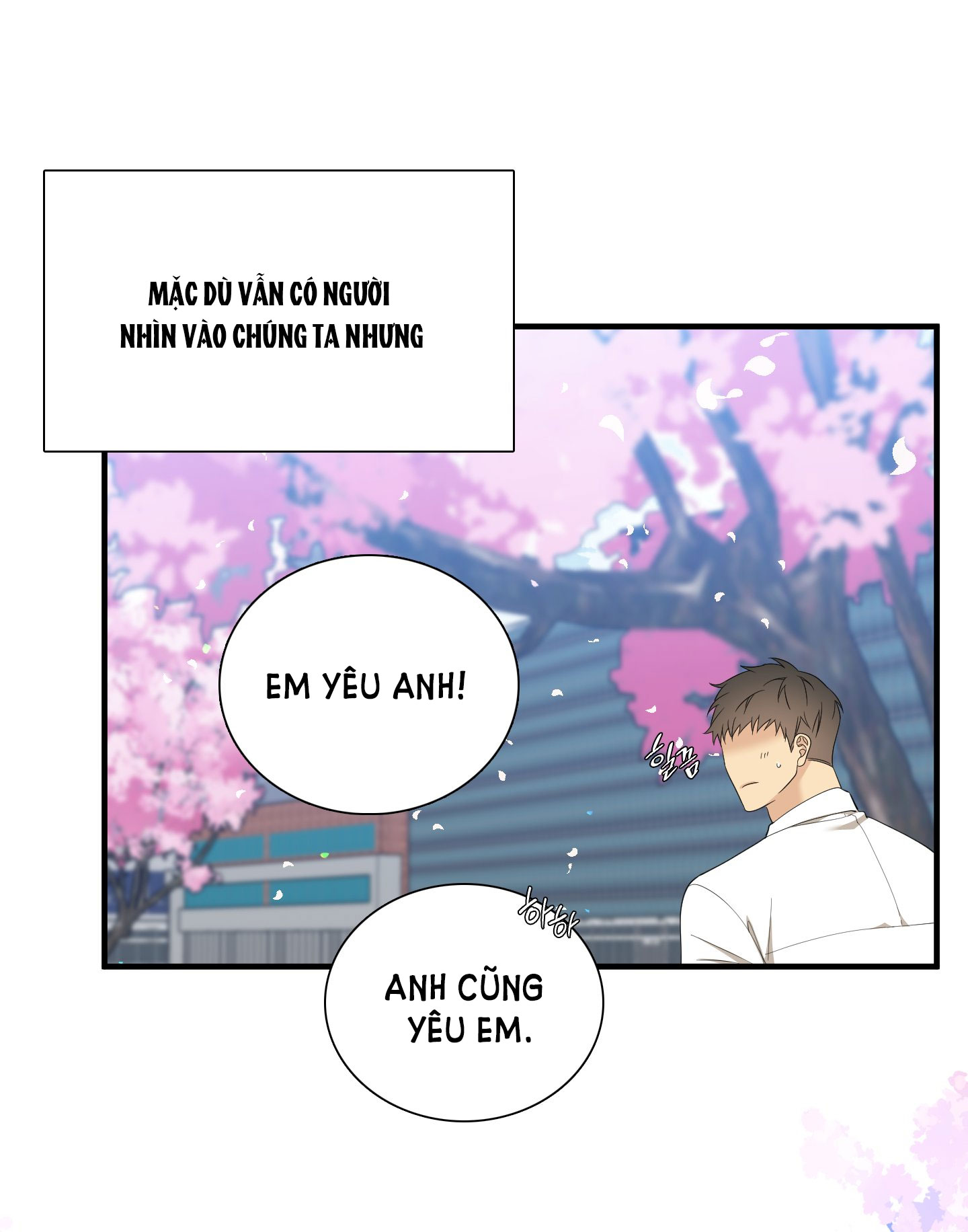 mắt phủ toàn sương chapter 80.2 43