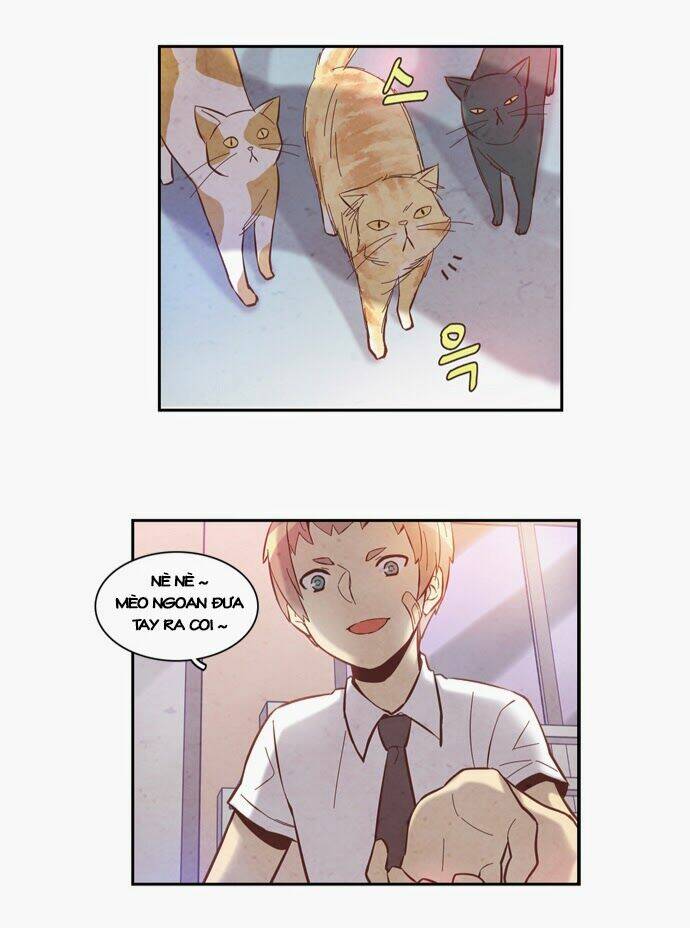 evergreen tea chapter 8 16