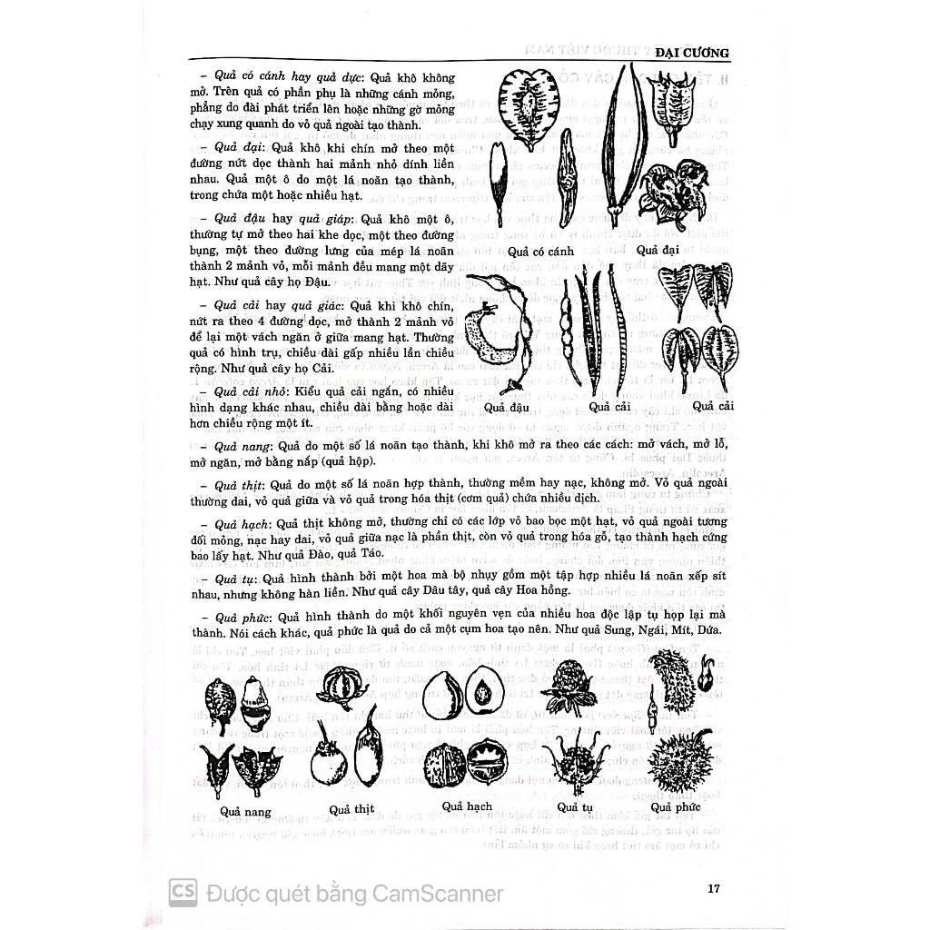 Từ Điển Cây Thuốc Việt Nam Tập 1