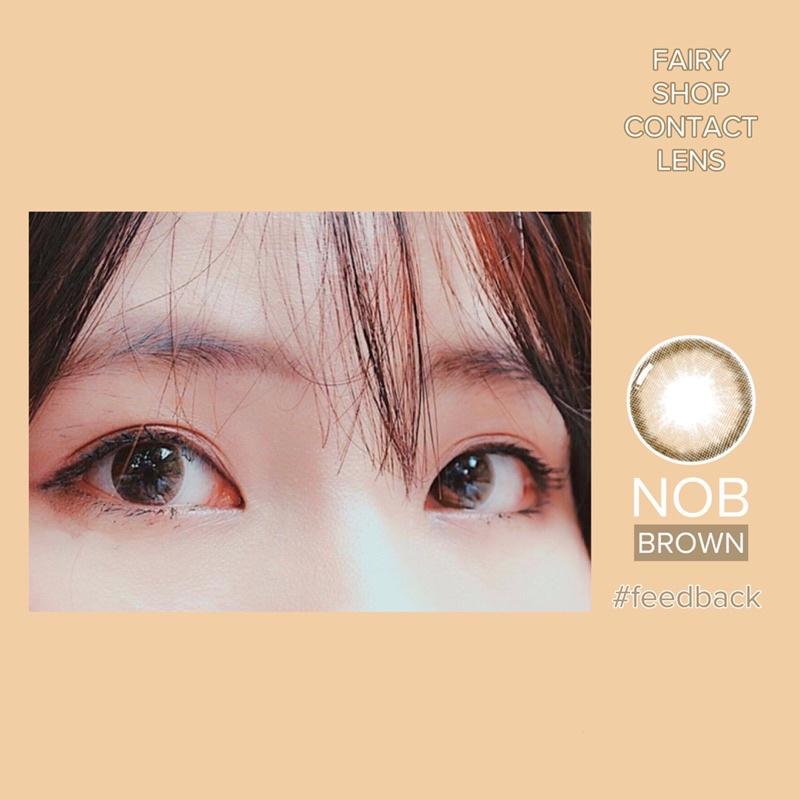 Áp tròng NOB BROWN 14.2mm - Kính Áp Tròng FAIRY SHOP CONTACT LENS