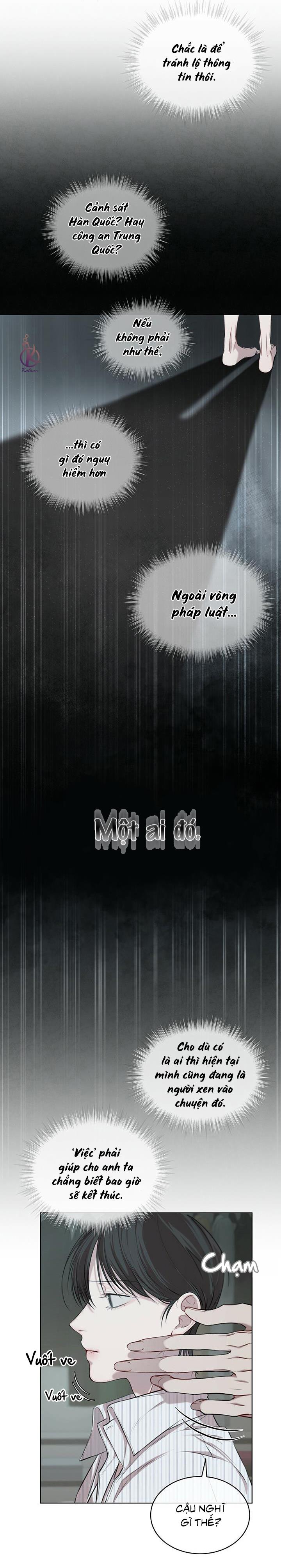 hình thái khởi sinh chapter 13 16