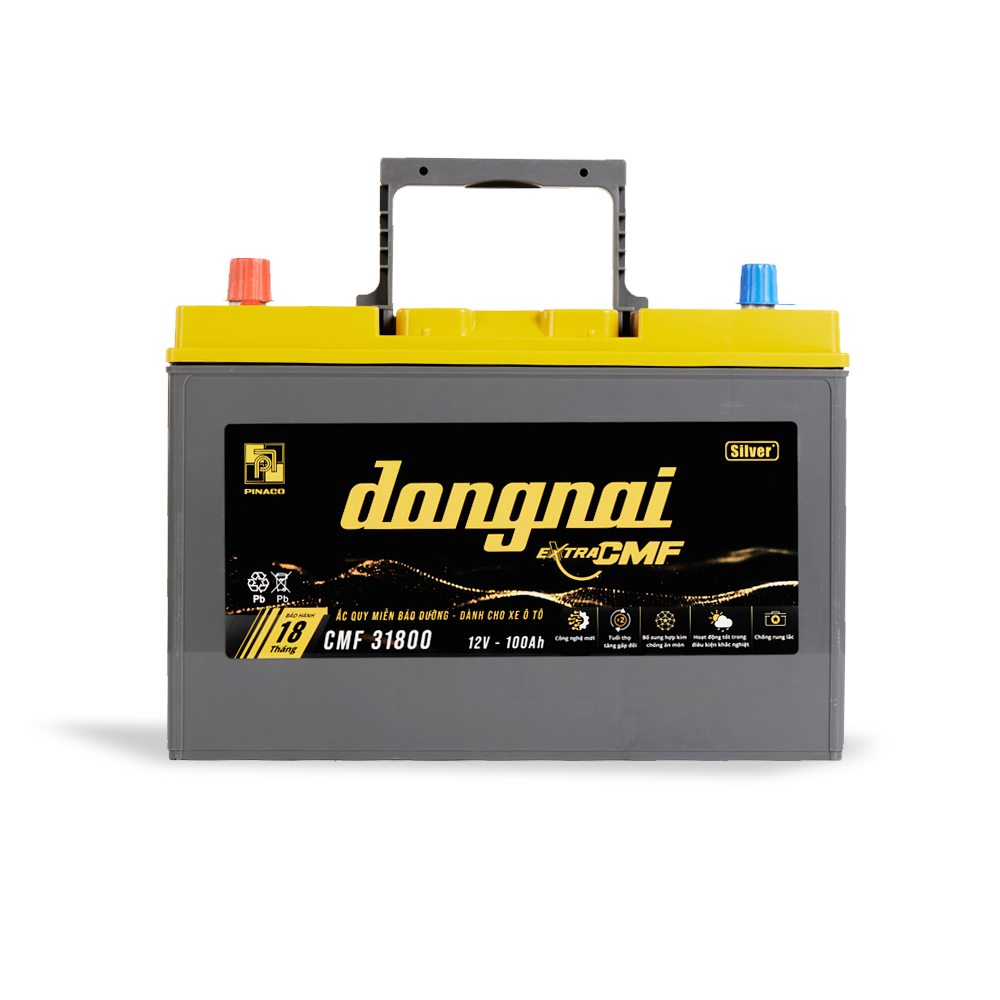 Ắc quy khô miễn bảo dưỡng Đồng Nai EXTRA CMF 31800 | 12V - 100Ah