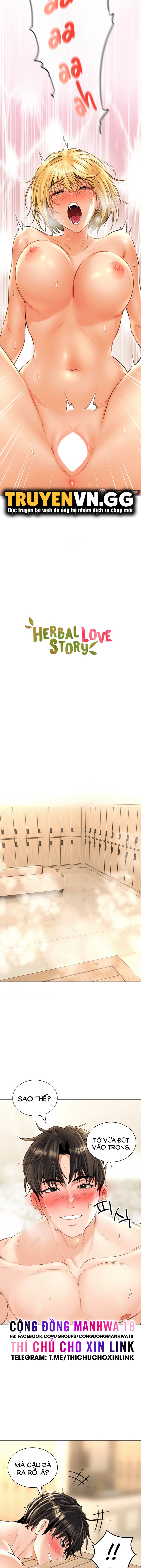 thảo dược mê tình chapter 16 2