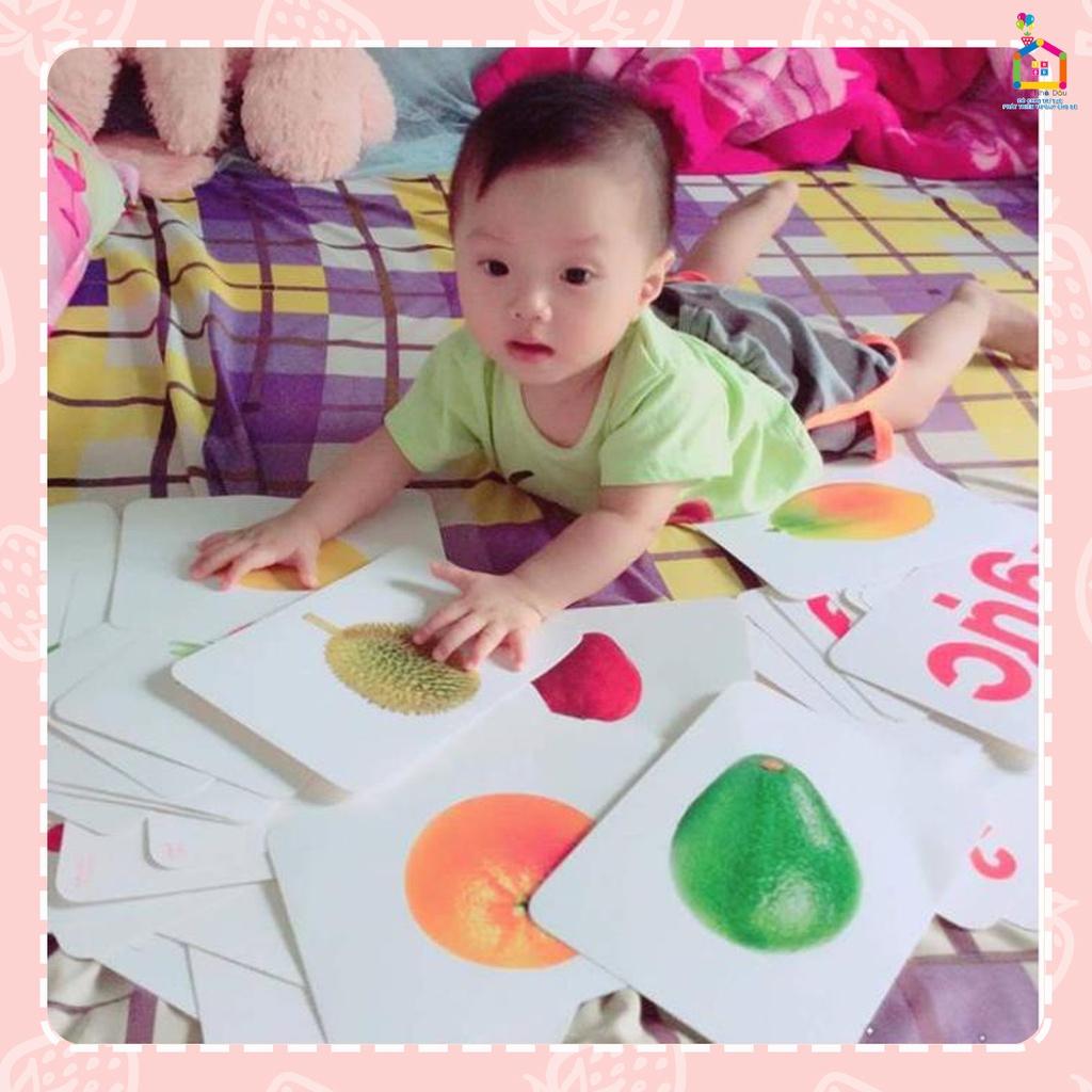 Bộ Thẻ Học Thông Minh 18 Chủ Đề TGXQ loại TO song ngữ A-V loại chuẩn Glenn Doman Flashcard cho bé từ 0-6 tuổi