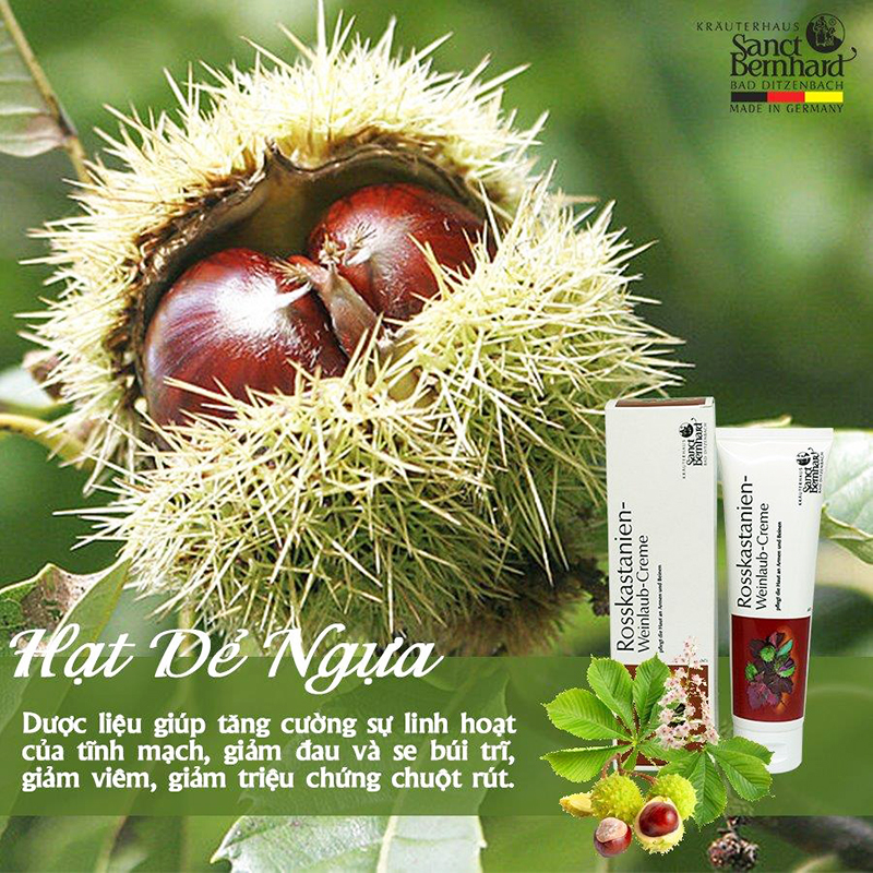 Kem bôi suy giãn tĩnh mạch chiết xuất hạt dẻ ngựa - Horse Chestnut Vine Leaf Cream (Tuýp 25ml)