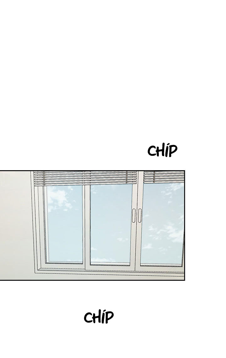 mùa xuân lại đến chapter 5 12