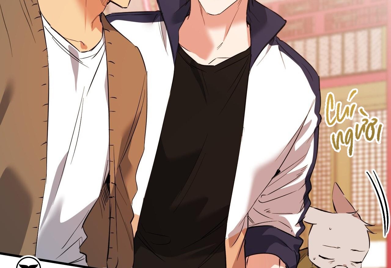 những chú thỏ của hapypy chapter 62 134