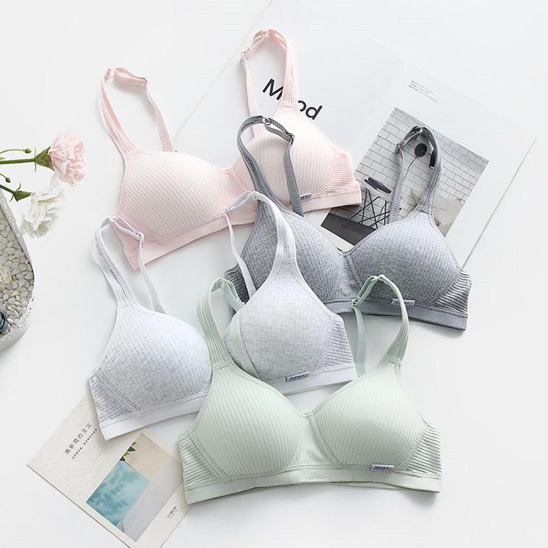 Áo lót nữ áo ngực nữ sinh không gọng mút mỏng chất cotton cài sau A10