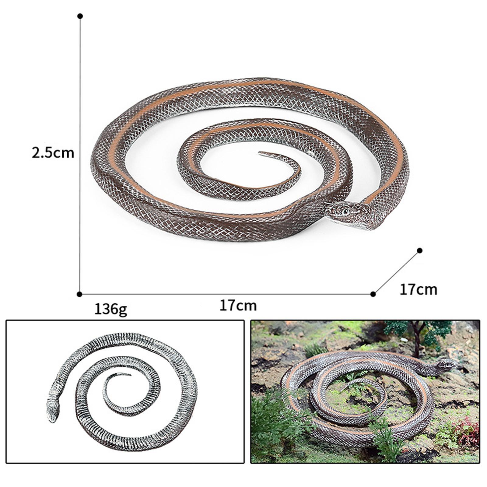 Simulation Fake  Photo Props Educational Durable Statue 17cm for Home