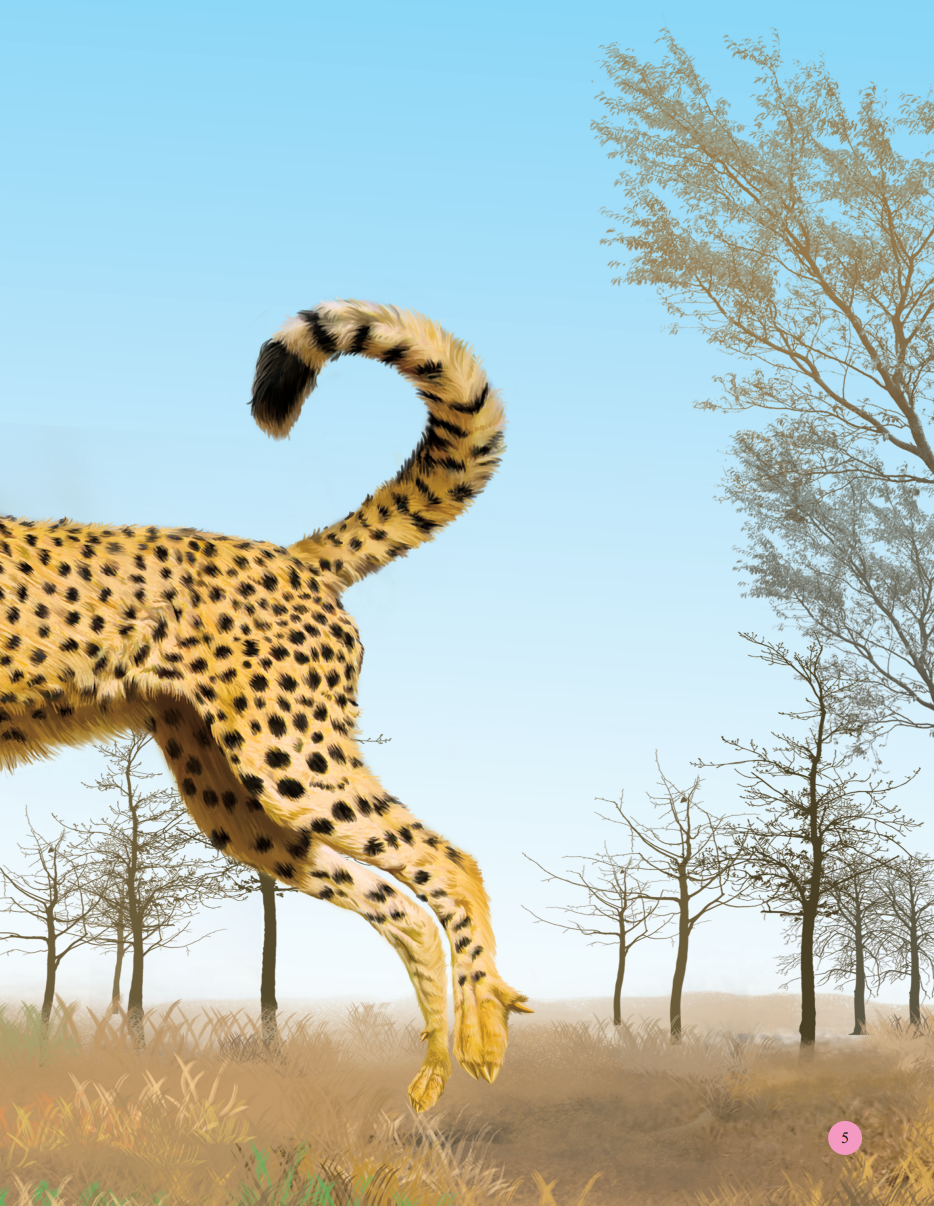 Bách Khoa Toàn Thư Tìm Hiểu Về Trái Đất - Thế Giới Động Vật (Tái Bản 2023)