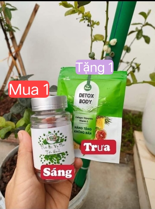 Combo 2 Thảo Mộc Tiến Hạnh Vip X2