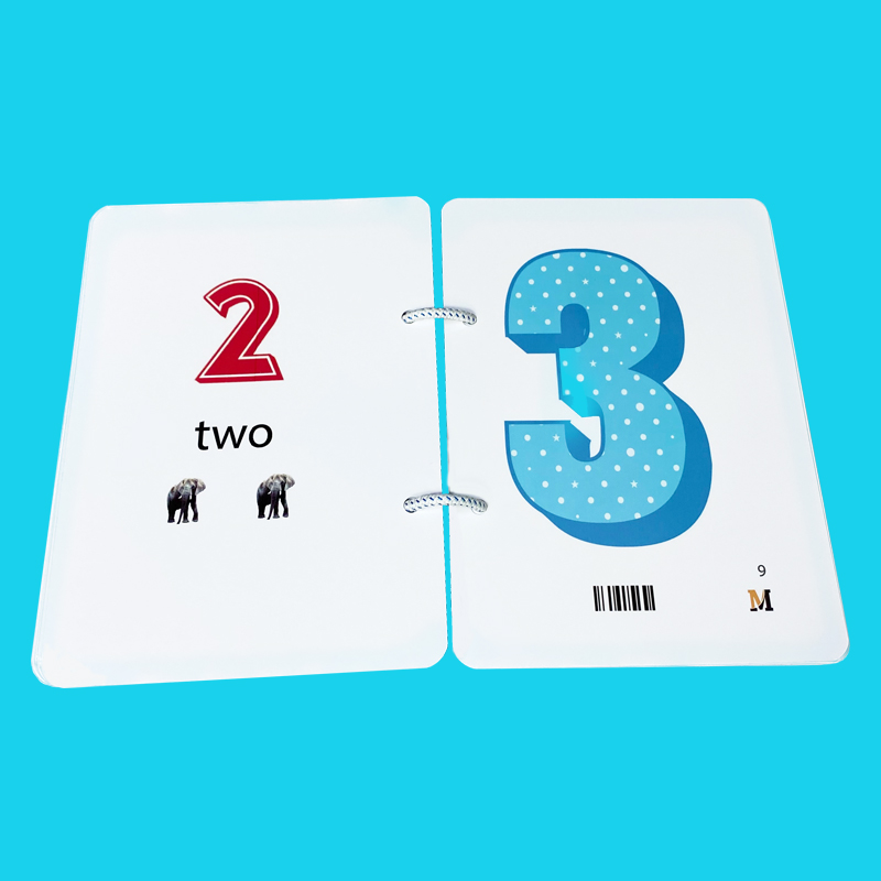 Flashcard tiếng Anh Lớp 1 Khổ A5 có phát âm, hình ảnh sinh động