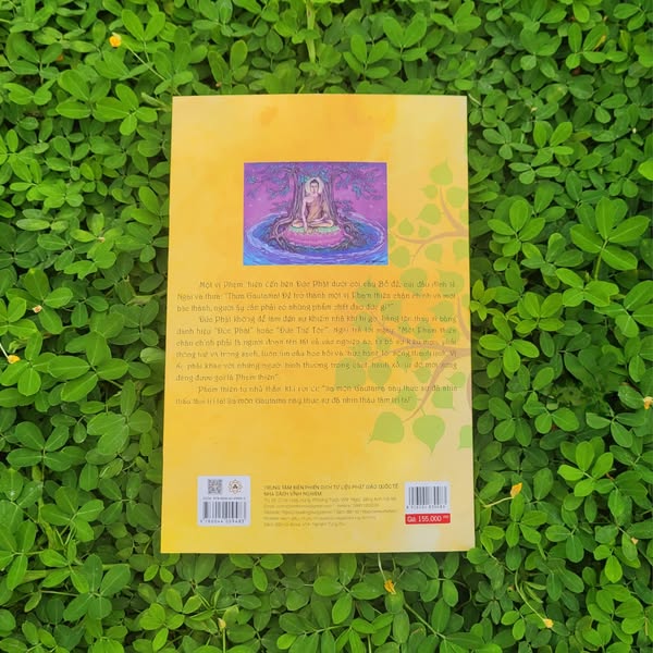 Sách - Cuộc Đời Đức Phật Thích Ca - Truyện tranh song ngữ - Vĩnh Nghiêm Books