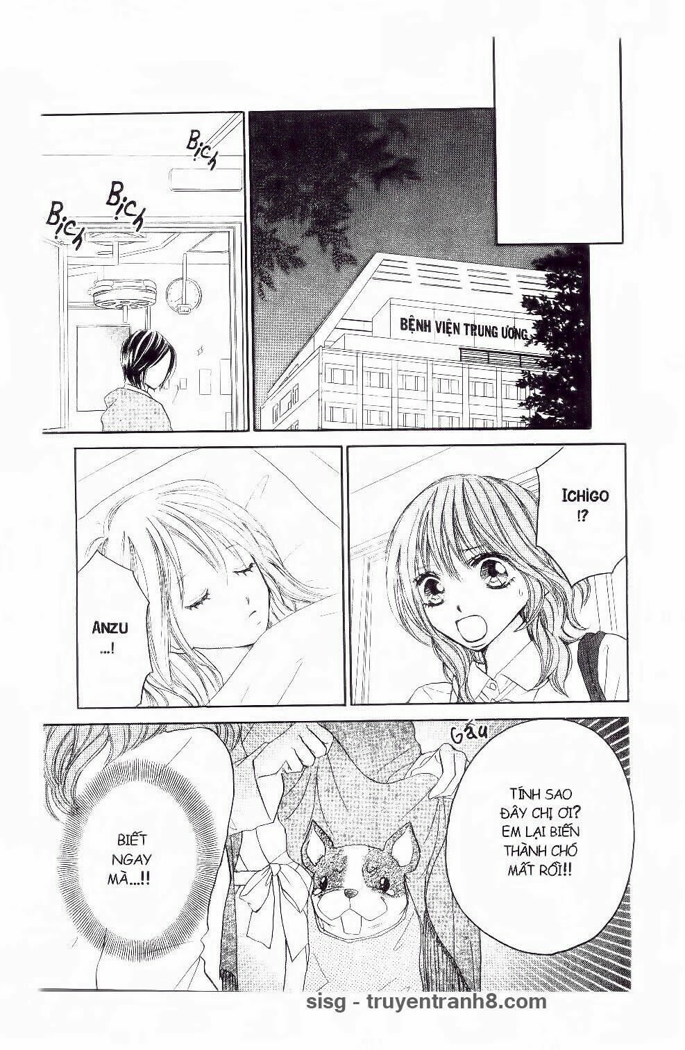 ichigo to anzu chapter 42 10