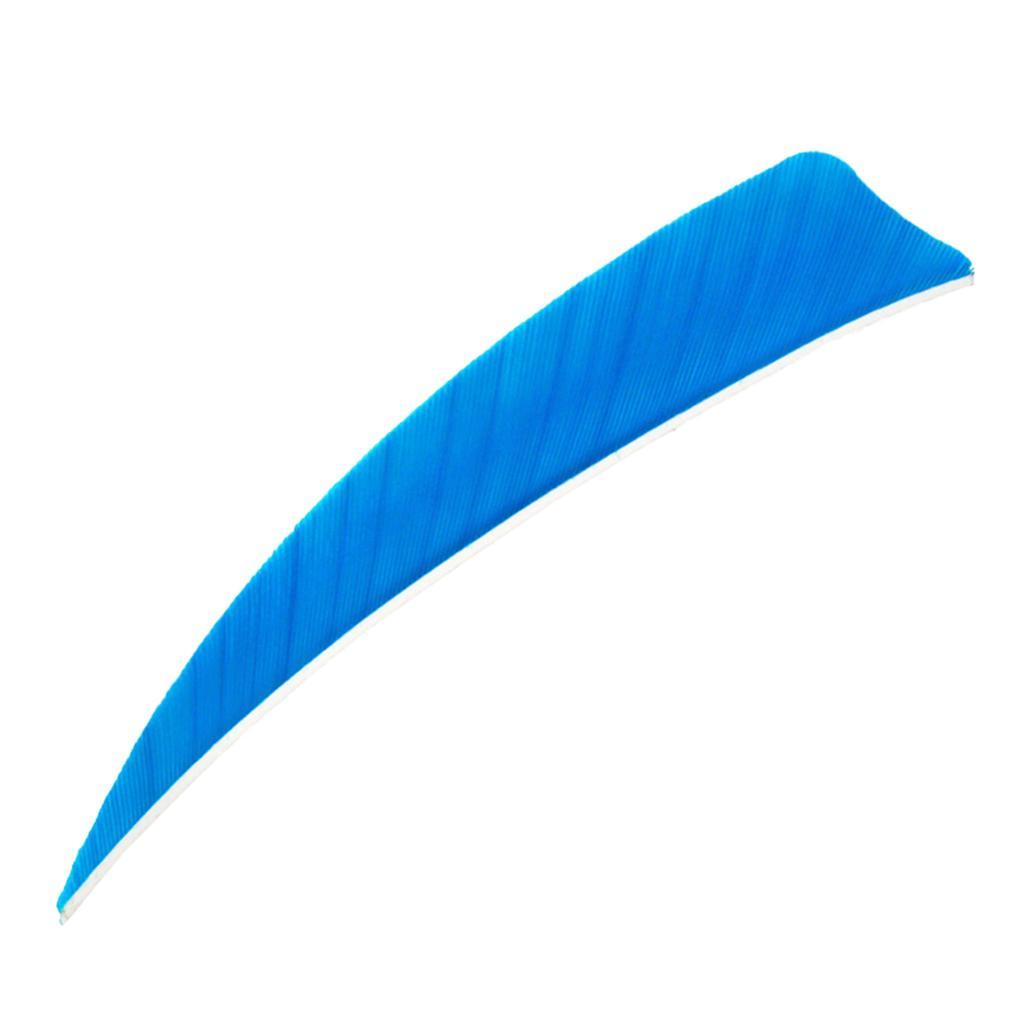 2-6pack 12 Pieces 4 Inch Archery Arrow Feathers Fletchings Vanes Light Blue