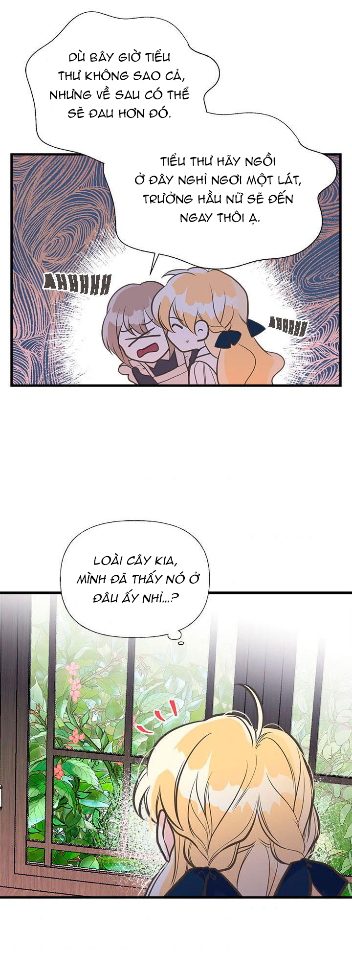 chị tôi đã nhặt về một nam chính quyến rũ chapter 36 18