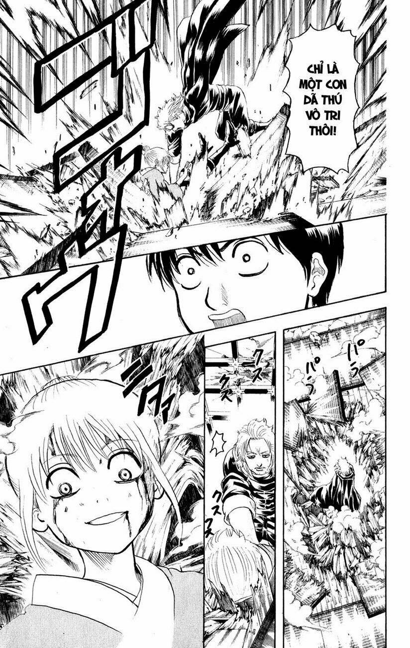 gintama - linh hồn bạc chapter 219 13