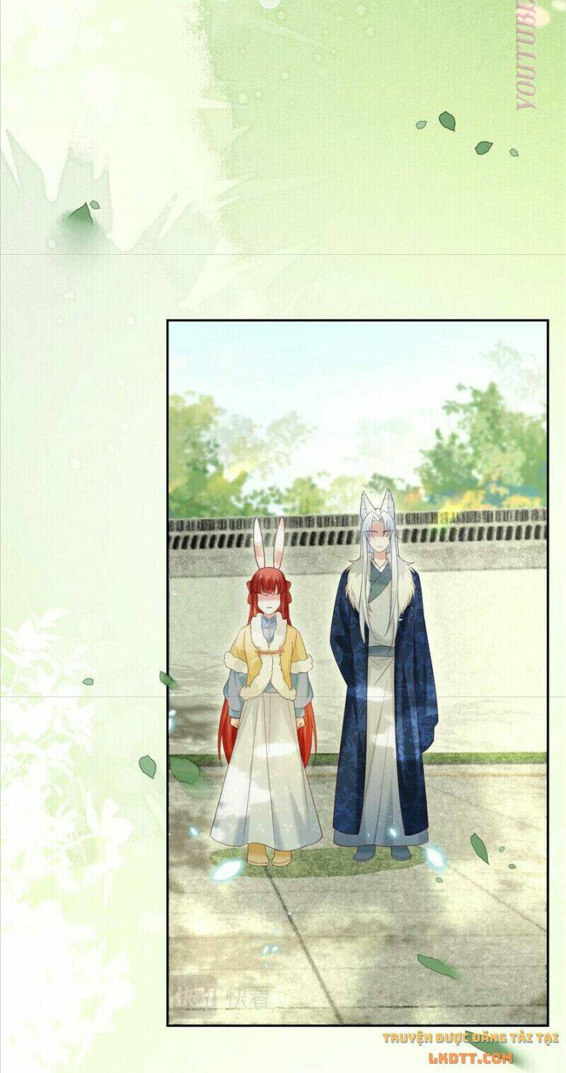 hắc hóa nam chính trực tuyến nuôi thỏ chapter 65 31