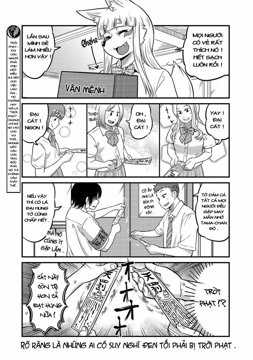 high school inari tamamo-chan ! chapter 17 6