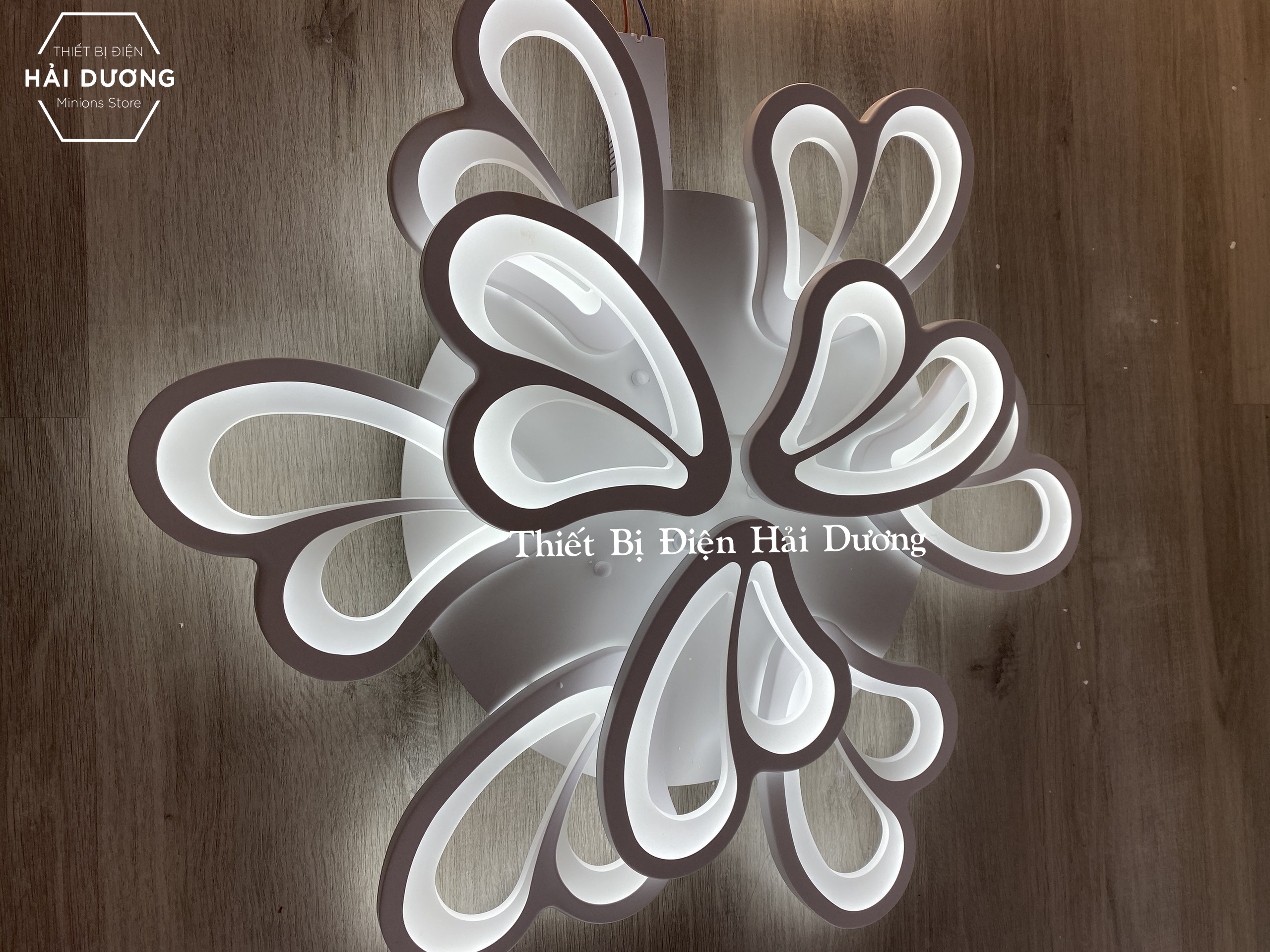 Đèn Ốp Trần Decor 9 Cánh Bướm NT020 - 3 Chế Độ Ánh Sáng - Tăng Giảm Ánh Sáng - Điều Khiển Từ Xa - Kết Nối Điện Thoại