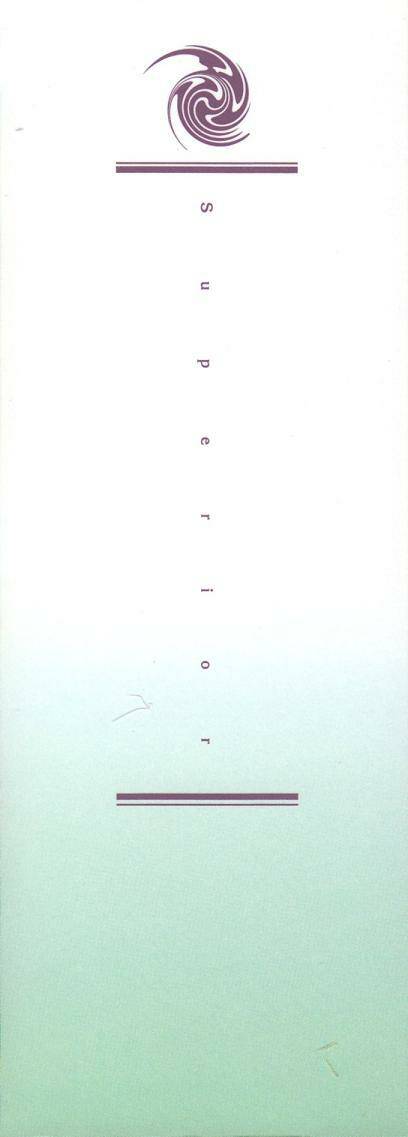 superior chapter 4 3