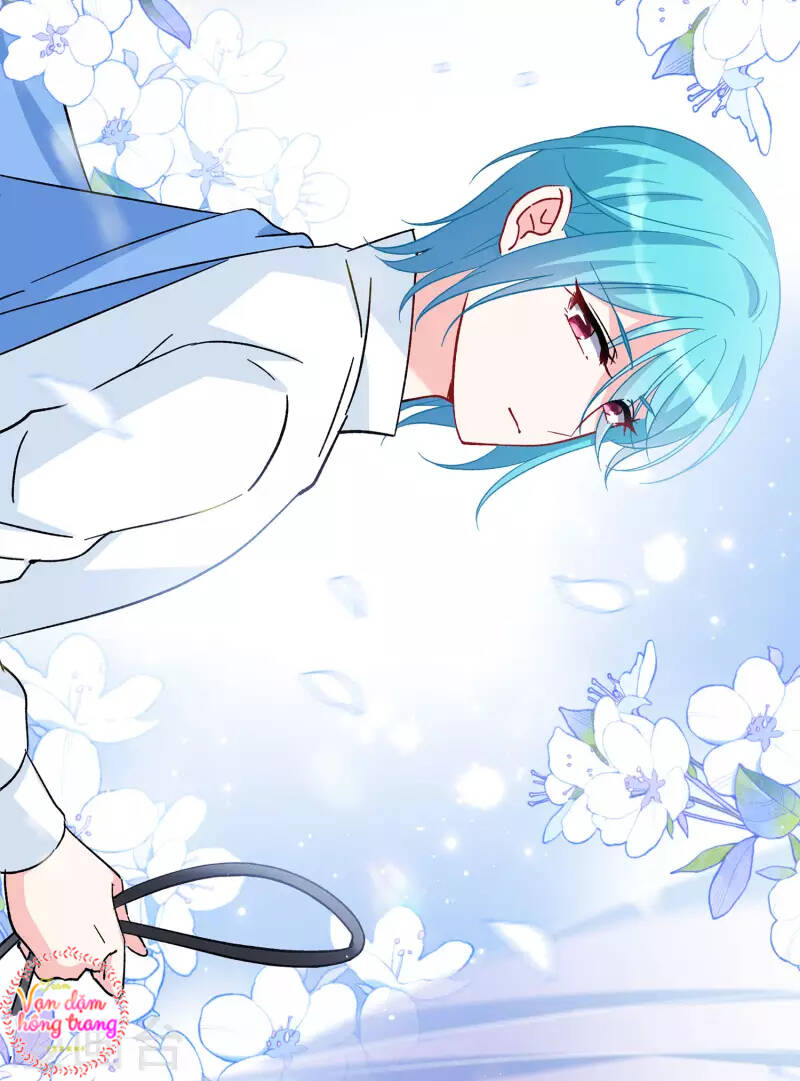 cô ấy đến rồi, xin nằm xuống! chapter 240 28