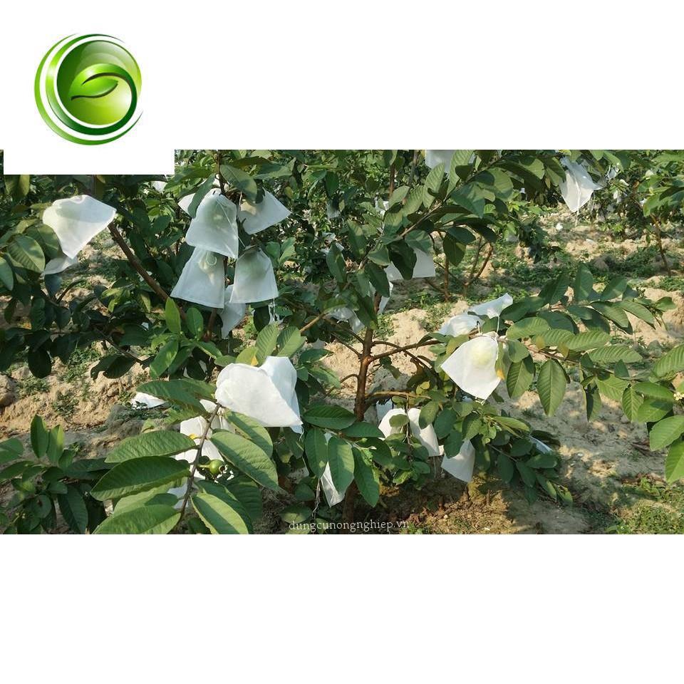 TÚI BỌC TRÁI CÂY BỌC Bưởi 1000 TÚI CÓ DÂY RÚT 25x30CM
