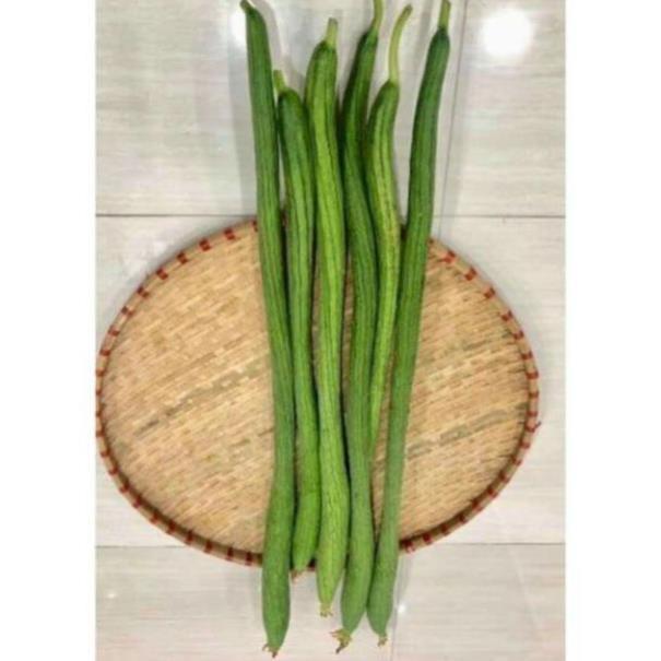 Mướp Hương Siêu Dài 1m Nảy Trên 90%