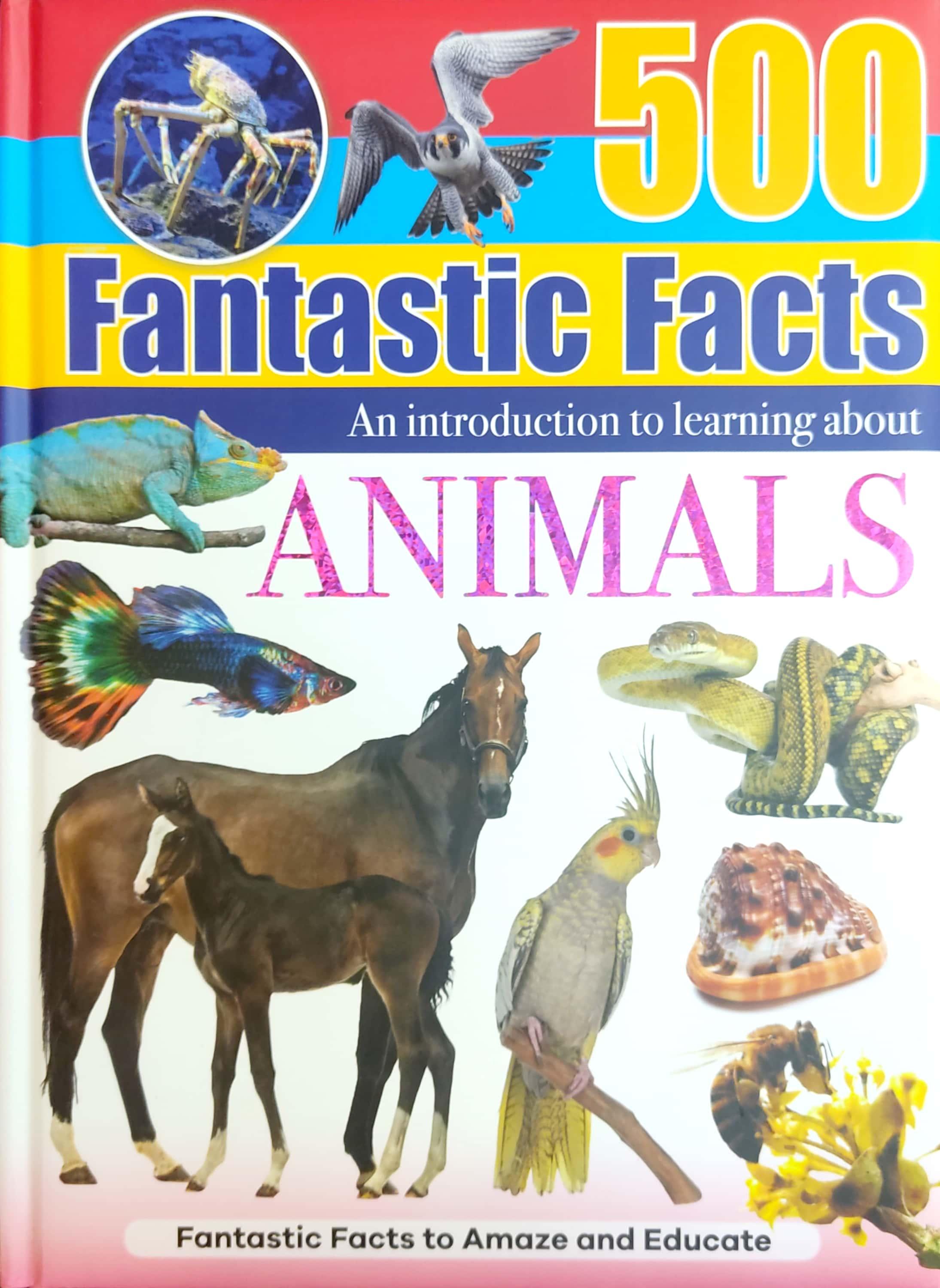 Hình ảnh 500 Fantastic Facts - Animals