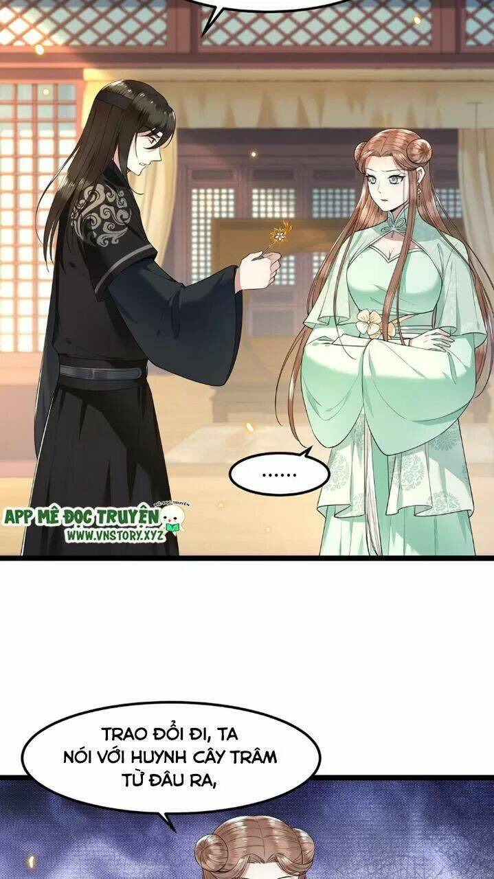 phượng hoàng vu phi chapter 47 15