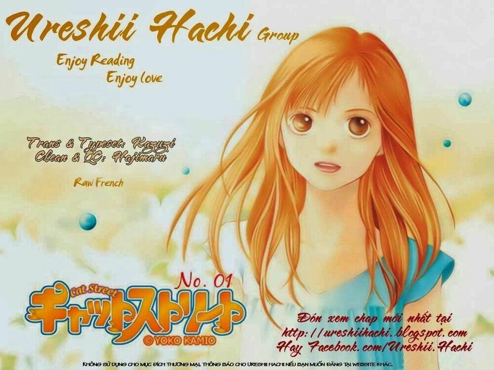 cat street chapter 12 4