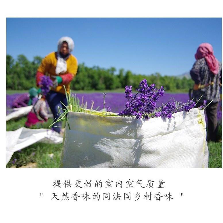 Túi Thơm Hoa Oải Hương Lavender Handmade Treo Tủ, Xe Hơi, Bỏ TRong Phòng, Balo, Túi Xách Giúp Khử Mùi