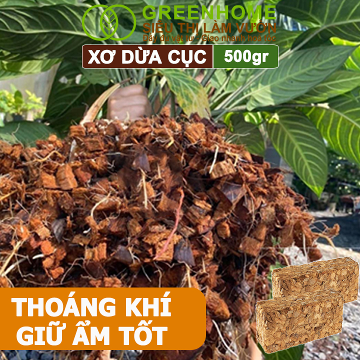 Xơ Dừa Cục Greenhome, Viên 500gr, Sơ Dừa Nén, Nở Gấp 5 Lần, Kích Thích Rễ, Thoát Nước Tốt Giá Thể Kiểng Lá, Phong Lan