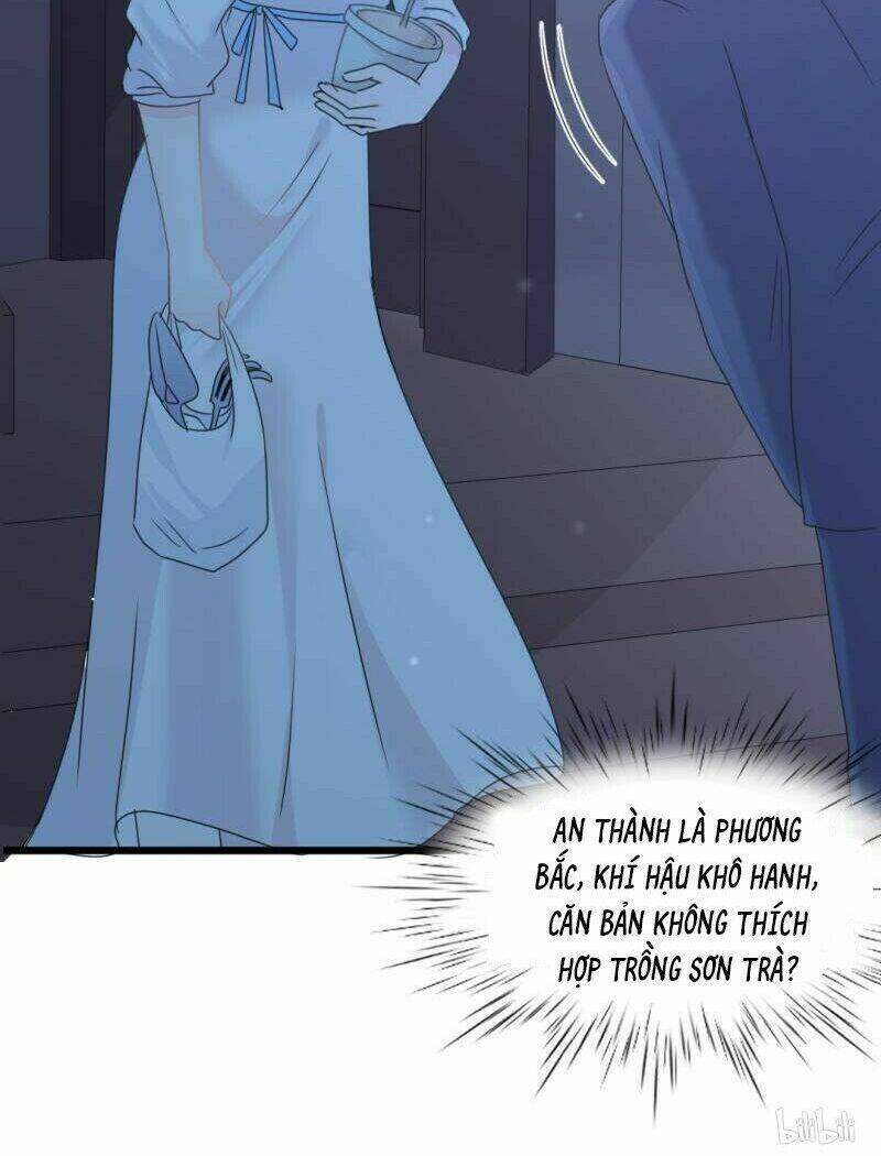 ngạo kiều tổng tài sủng điềm thê chapter 35 6