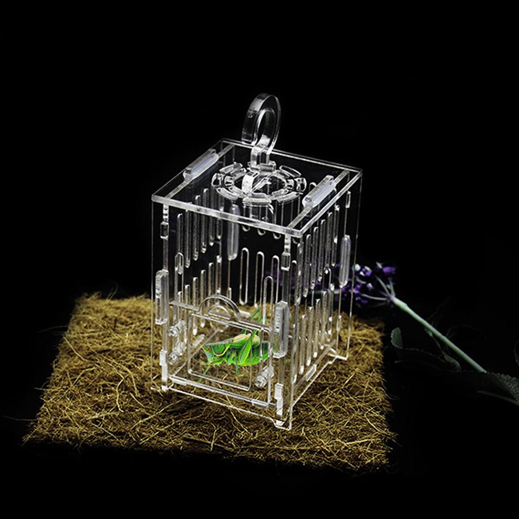 Durable Acrylic Small Insect Cage Grasshopper Feeding Cricket Cage Indoor Toy