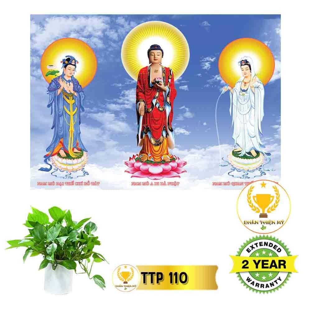 Tranh điện Tam Thế Phật_TTP11