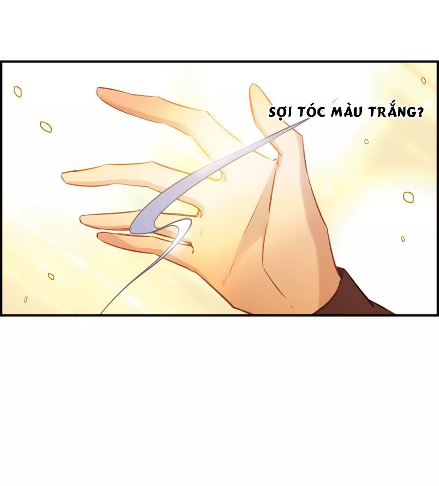 Cuốn Sách Vận Mệnh Của Tôi chapter 56 - Trang 10