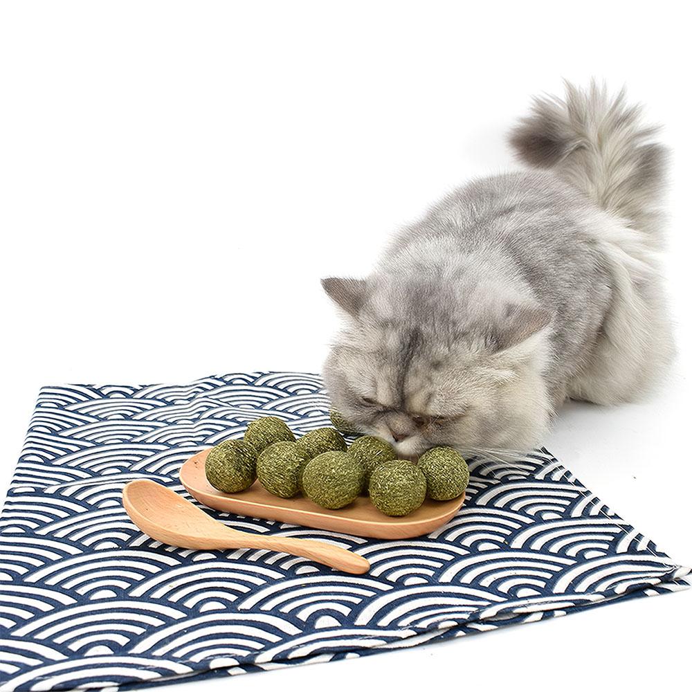 Bóng Bạc Hà Đồ Chơi Nhai Làm Sạch Răng Cho Thú Cưng